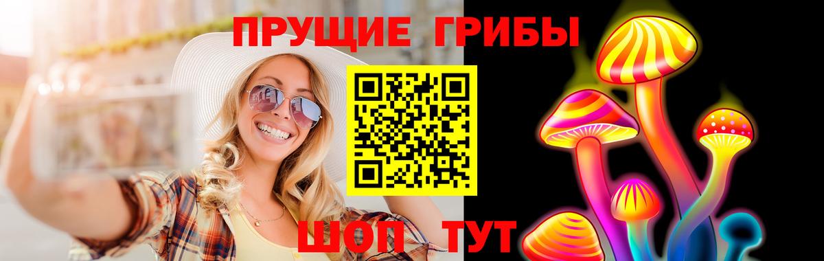 Звенигород  Галлюциногенные грибы прущие грибы  Вход с VPN 